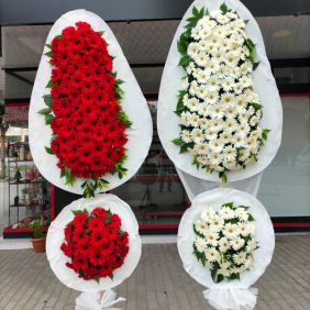  Alanya Çiçek Kırmızı yada Beyaz Gerbera Çiftli Canlı Çelenk